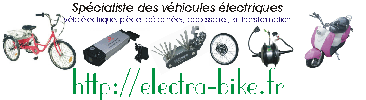 http://electra-bike.fr/images/electra-bike-fr-ebay.gif
